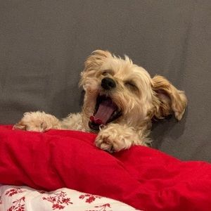 meet your posher, jocelyn!